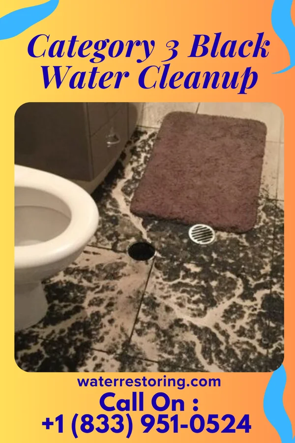 Category 3 Black Water Cleanup in Dalton Gardens, ID
