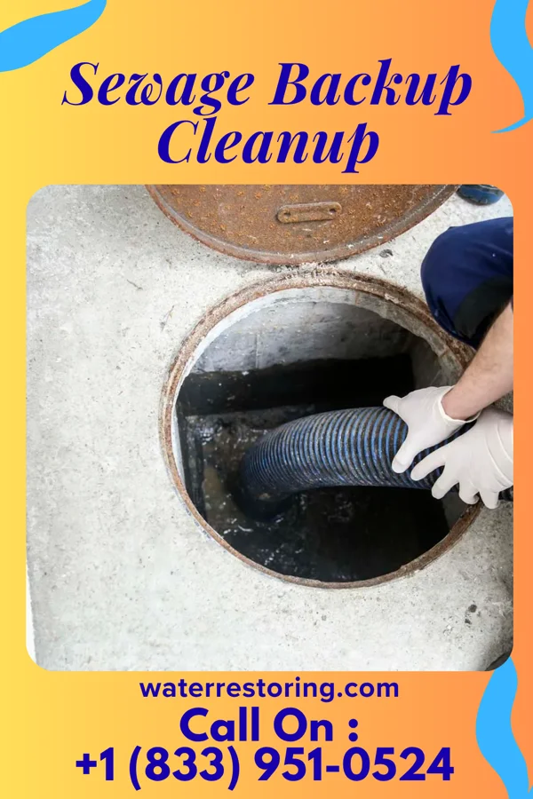 Sewage Backup Cleanup in Dalton Gardens, ID