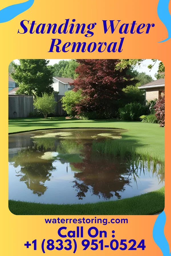 Standing Water Removal in Dalton Gardens, ID